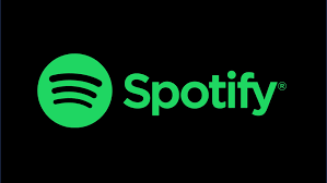 Spotify 12 Months 1 Screen